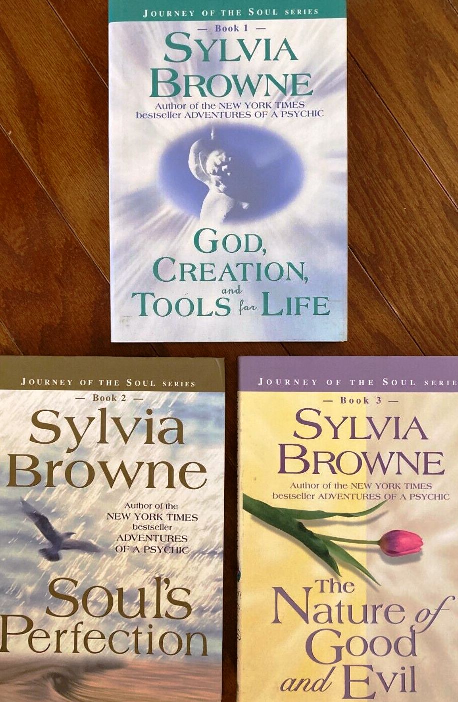 Journey of the Soul by Sylvia Browne